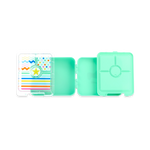 PENNY SCALLAN | Mini Bento Box | Dino Rock