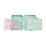 PENNY SCALLAN | Large Bento Box | Kipping Koala